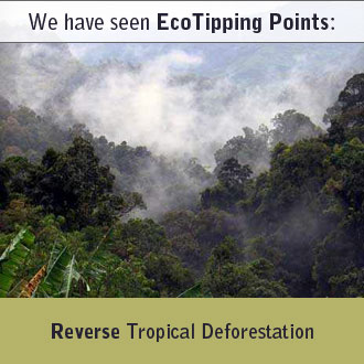 Reversing Tropical Deforestation: Agroforestry and Community Forest Management (Nakhon Sawan Province, Thailand)