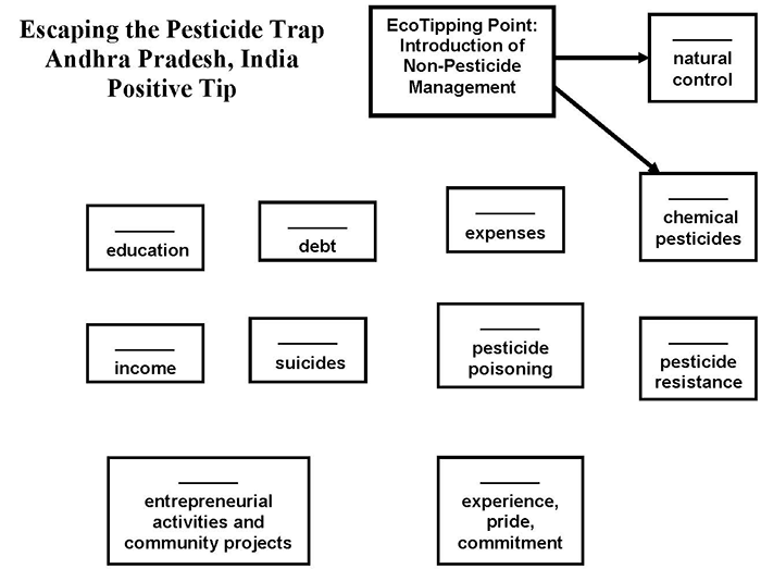 Escaping the Pesticide Trap (Andhra Pradesh, India)