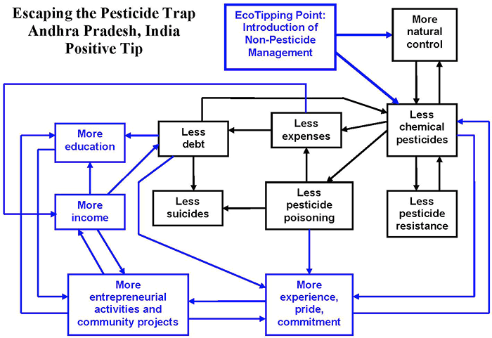 Escaping the Pesticide Trap (Andhra Pradesh, India)