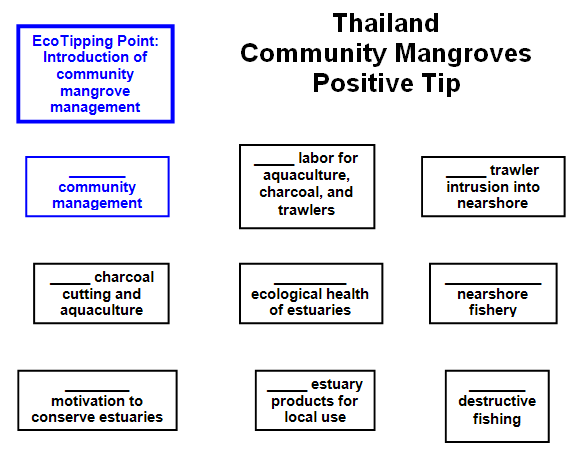Community Mangrove Forests (Southern Thailand)