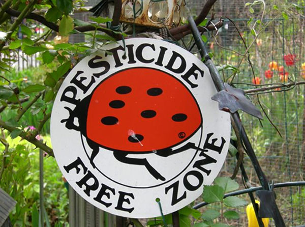 The No Pesticide policy