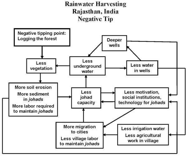 Rainwater Harvest (Rajasthan, India)