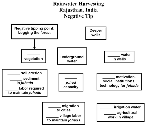 Rainwater Harvest (Rajasthan, India)