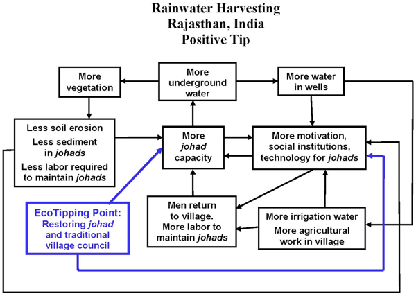 Rainwater Harvest (Rajasthan, India)