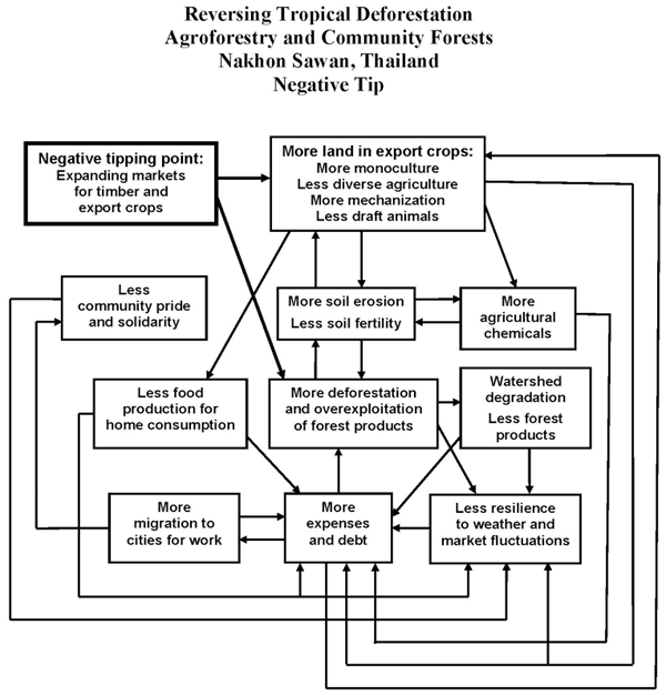Agroforestry and Community Forests (Nakhon Sahon, Thailand)