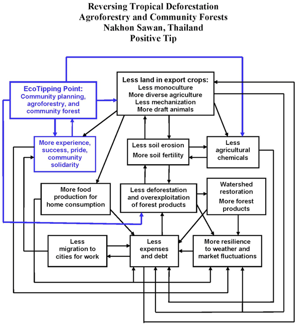 Agroforestry and Community Forests (Nakhon Sahon, Thailand)