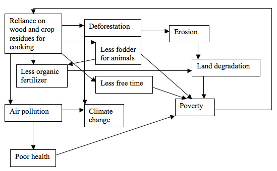 Figure 8. Diagram of the effects of cooking with wood and crop residues