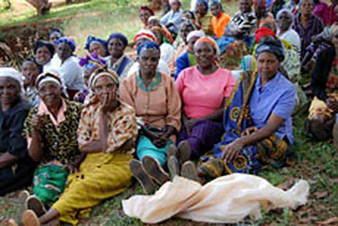 Figure 7. A community meeting