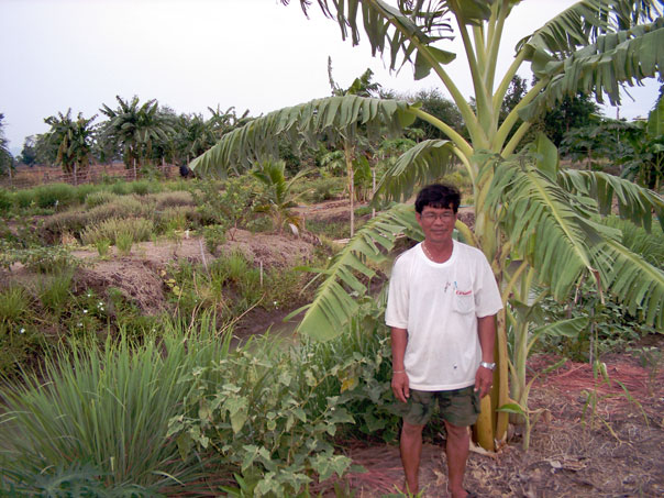 Crop diversity provides a variety of foods