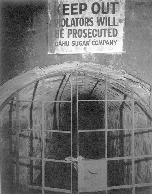 Figure 2. Waiahole Ditch tunnel