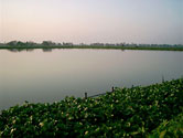 EKWs Scenery