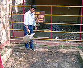 Adding water to compost