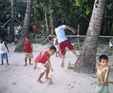 Palm Tree Jumping