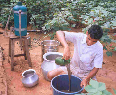 Figure 11. Preparing to spray neem onto a cotton field.