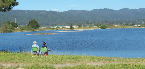 The Arcata Marsh and Wildlife Sanctuary is a community leisure and recreation space that attracts some 150,000 visitors a year.