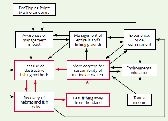 Figure 5 - Positive tip