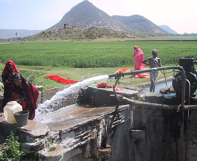 Rajasthan: taking advantage of dry-season water pumped from a well, on its way to irrigate the fields. Photo: Ann Marten