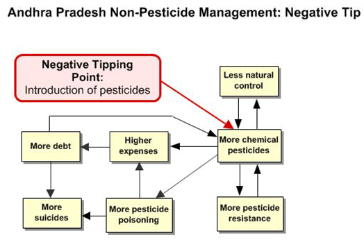 Andhra Pradesh Negative Tip