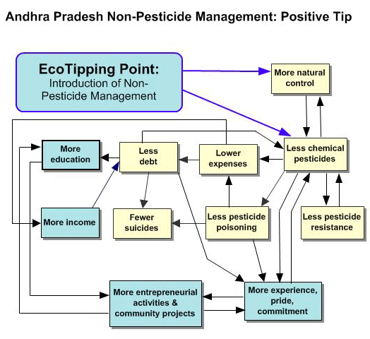 Figure 12. Virtuous cycles leading Punukula village out of the pesticide trip and into a better life.