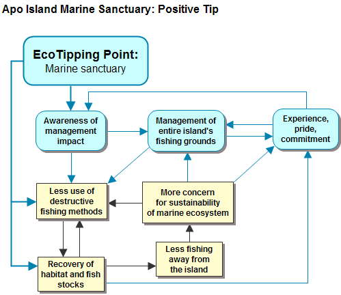 Figure 5. Virtuous cycles that locked Apo Island into sustainability.