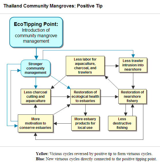 Thailand Community Mangroves Positive Tip