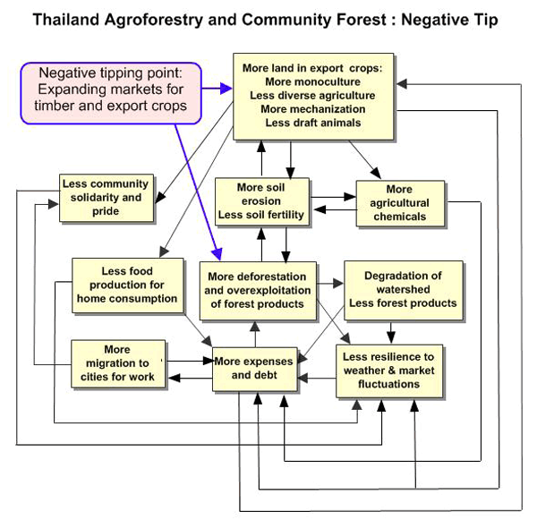 Thailand Negative Tip