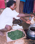 Escaping the Pesticide Trap - India