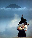 The Fine Art of Environmental Aikido